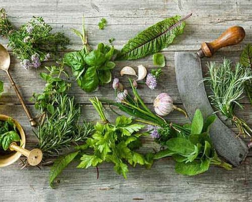 5 loại thuốc Nam nhuận tràng phổ biến, hiệu quả nhất